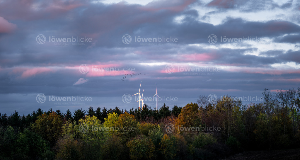 Farbenspiel am Abend | löwenblicke | shop