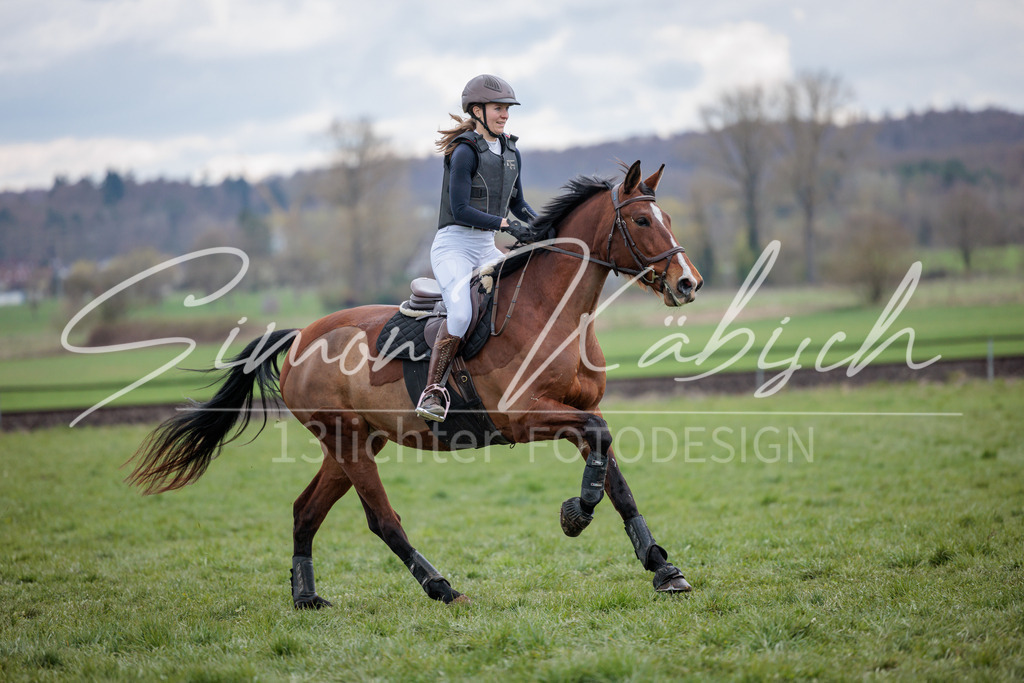 20260329-_3LI5595 | Tierfotografie Pferde, Hunde, Katzen, Haustiere.
Turnierfotografie Reitturniere, Reiten, Springreiten, Dressur in Hanau, dem Main-Kinzig-Kreis und dem Rhein-Main- Gebiet um Frankfurt