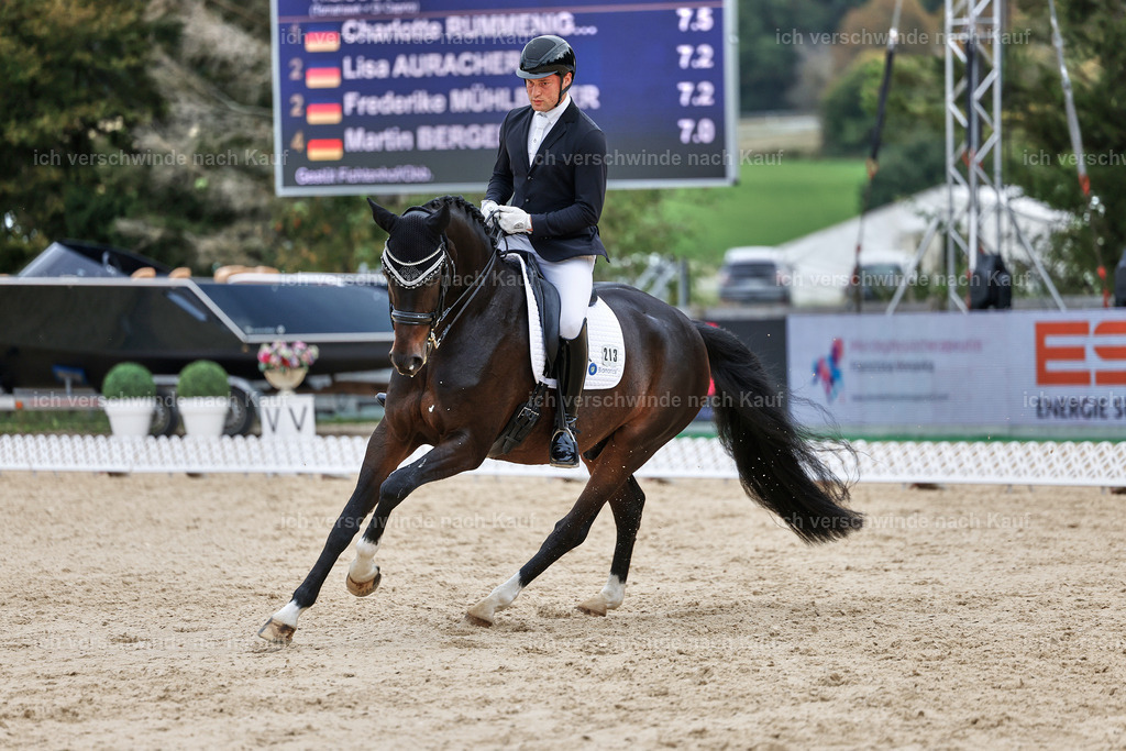 3-213-Dressur M_-StoibPH-2501 | working equitationturnier fotograf videograf stoibphotography marixx film working equitation deutschland reitsport turnierfotografie eventfotografie equestrian events