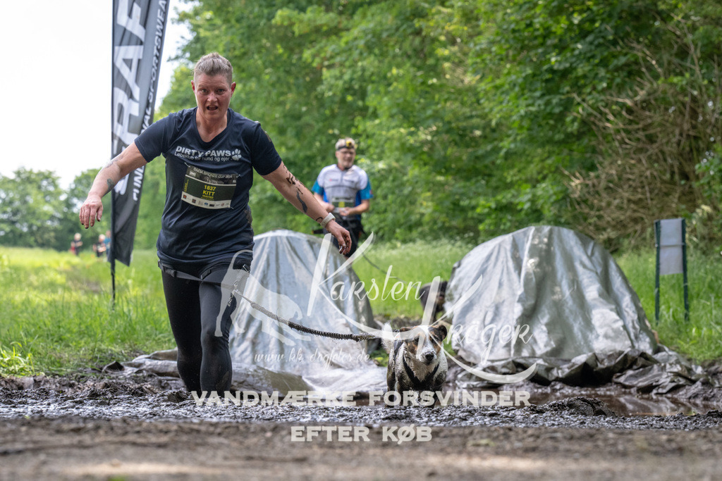 1246_ZZ93374 | kk-dogfotos