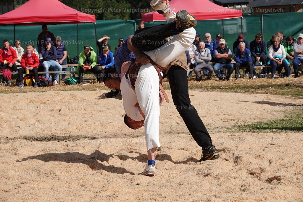 DSC00065 | Schwingen - Realisiert mit Pictrs.com