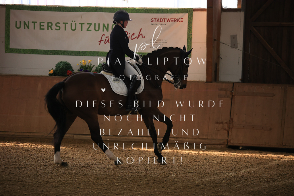 IMGT4042 | pl-fotografie