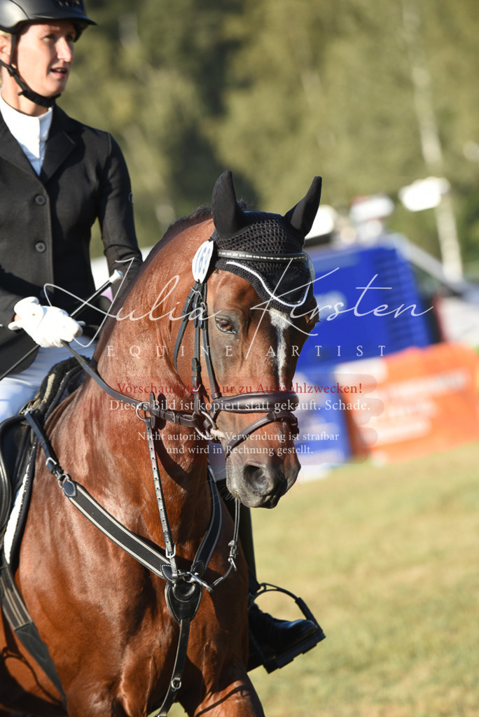 DSC_4921 | Pferde- und Turnierfotografie in Westsachsen. Pferdeportraits, Auftragszeichnungen und intuitive Kunst.