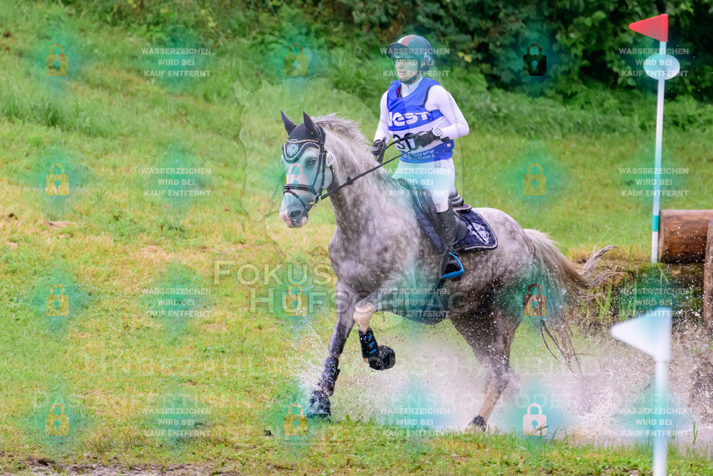 19072026-Schwaiganger-Prfg02-Gelände-0969 | Fokus Hufschlag Fotografie - Realisiert mit Pictrs.com