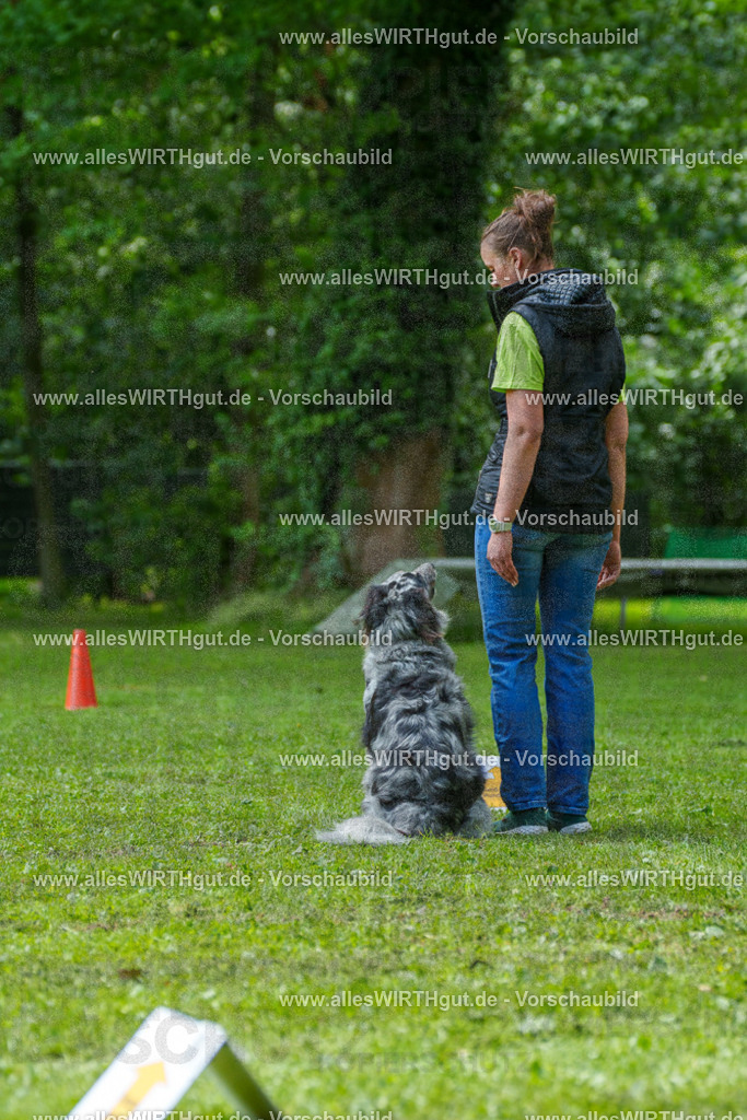 @allesWIRTHgut_Tierfotografie - www.allesWIRTHgut.de - 7R504798 | Professionelle Tierfotografie in Mönchengladbach von Daniel Wirth (allesWIRTHgut). Liebevolle & natürliche Bilder von Hunden & Katzen für unvergessliche Erinnerungen.