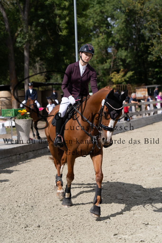 A7V07361 | Turnier/Reitfotograf