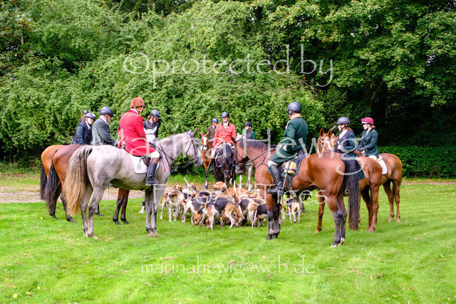 Jagd Perdoel 26 Fuji-9883_MarinaHewig | Fotografie, FotoArt, PferdesportArt, Pferdesportfotografie, Landschaftsfotografie, Reisefotografie, Reise, Pferde - Realisiert mit Pictrs.com