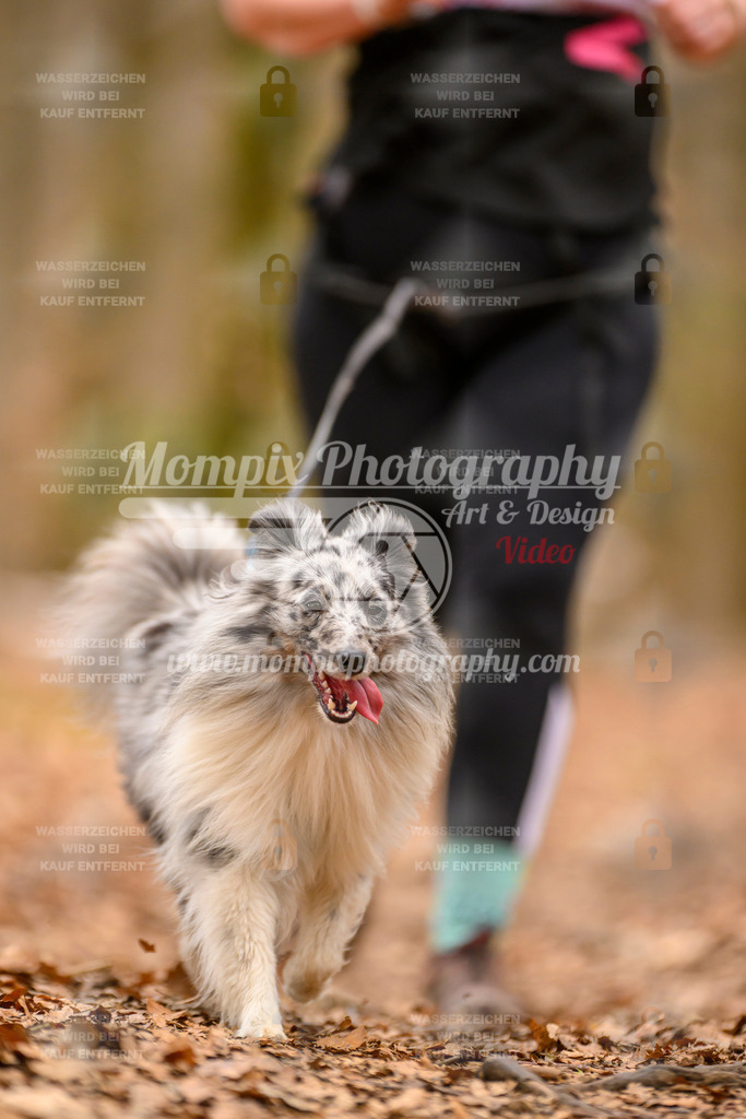 MompixPhotography_Habay2025_SA_CCC-282 | PayLife