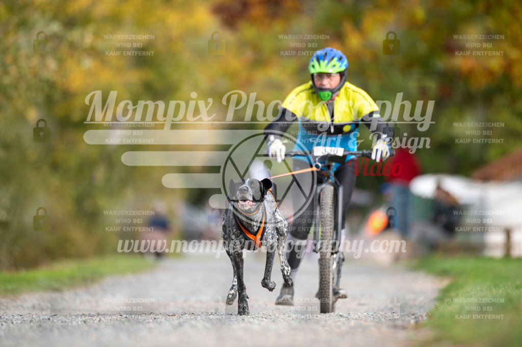 TSB_2023_E2_DS1-21 | mompixphotography