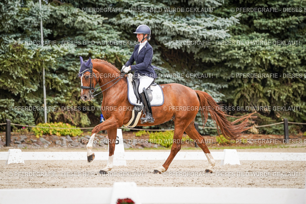 DSC05142 | Pferdegrafie