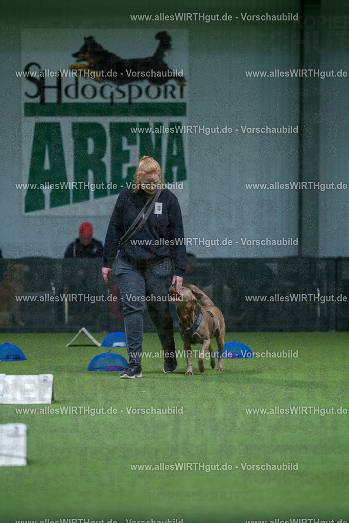 7R501273 | Professionelle Tierfotografie in Mönchengladbach von Daniel Wirth (allesWIRTHgut). Liebevolle & natürliche Bilder von Hunden & Katzen für unvergessliche Erinnerungen.