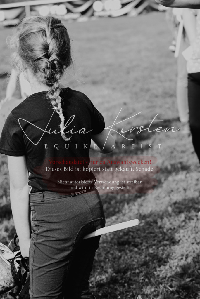 DSC_4737 | Pferde- und Turnierfotografie in Westsachsen. Pferdeportraits, Auftragszeichnungen und intuitive Kunst.