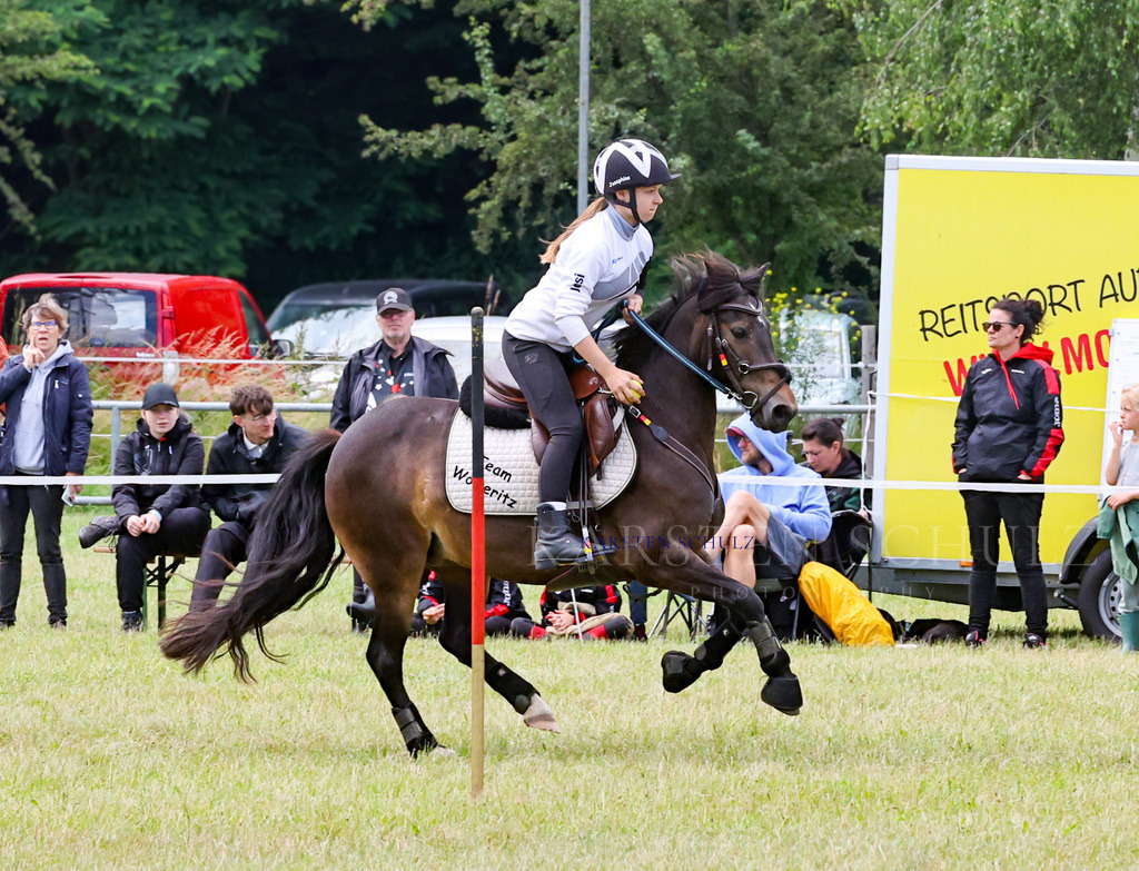 1B3A2682 | Reitsport Reiten
