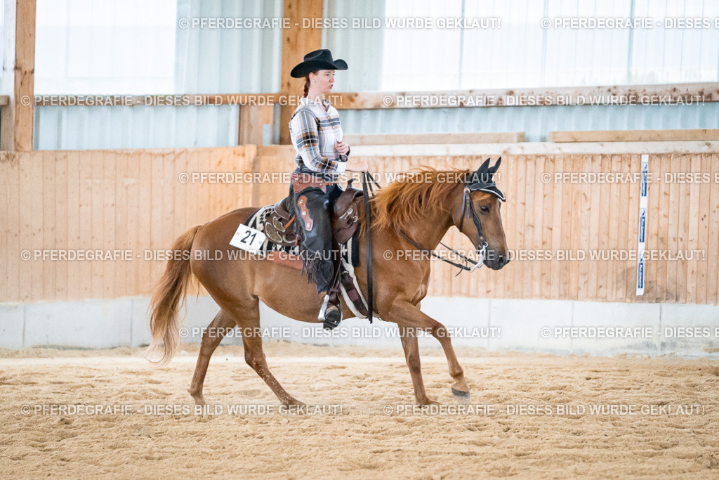 DSC03075 | Pferdegrafie