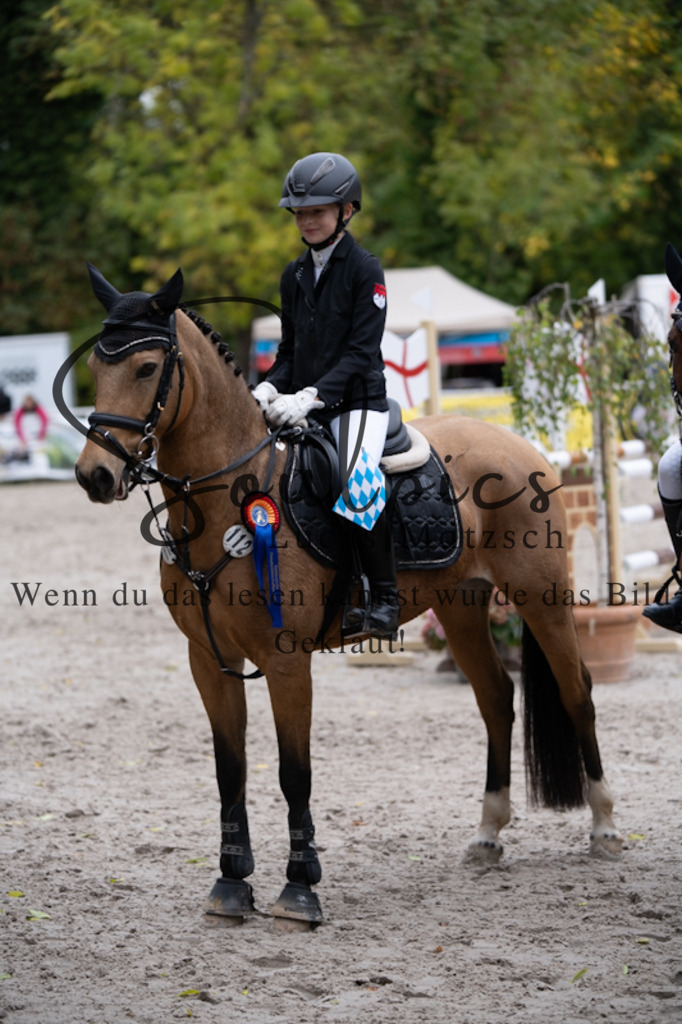 A7V00695 | Pferdefotograf