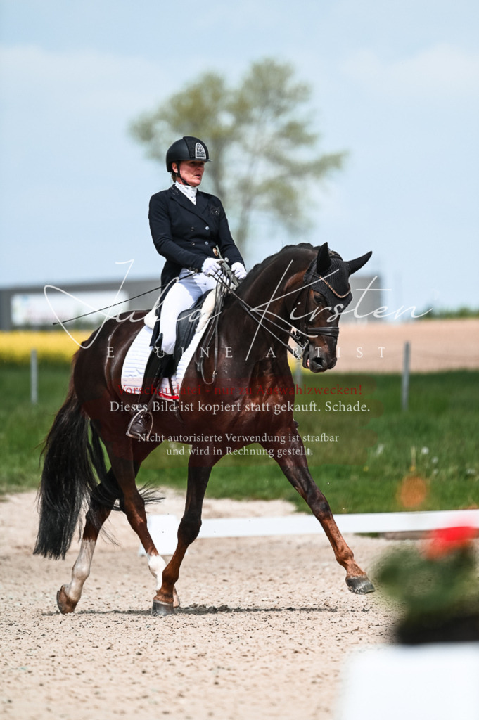 20230514_JK-Röhrsdorf-21-126 | Pferde- und Turnierfotografie in Westsachsen. Pferdeportraits, Auftragszeichnungen und intuitive Kunst.