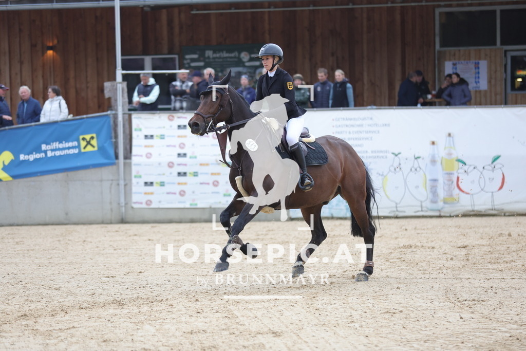 0P6A4222 | Willkommen bei Brunnmayr - Design & Fotografie – Ihrem Spezialisten für Reitturniere und Pferdeveranstaltungen in Oberösterreich, Salzburg und Bayern! Seit über 17 Jahren sind wir leidenschaftlich dabei.