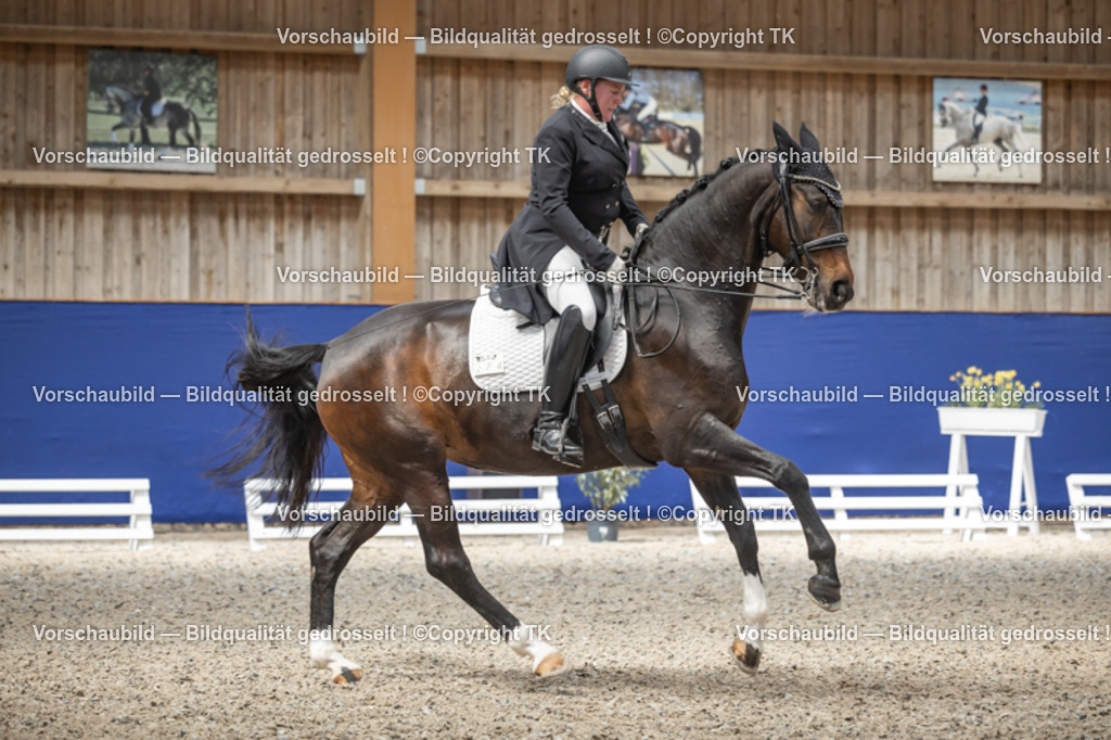 _D5A9628 | Emotionale Pferde- & People-Fotografie rund um Heidelberg, Leimen & Umgebung. Natürliche Fotos von Pferd, Mensch & Familie. Jetzt Termin sichern!