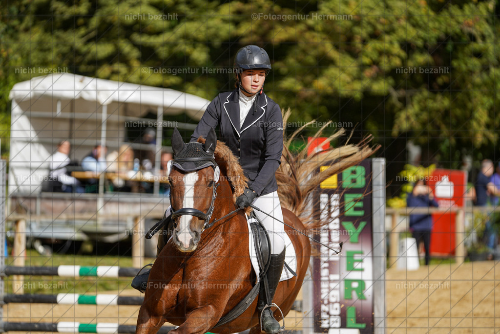 20231008-SN_01263 | Diessen am Ammersee, 2023, Dressur- und Springturnier, Reitsport, Turnierfotografie, Pferdebilder, Reitbilder, Turnierfotografen Bayern, Fotoagentur Herrmann