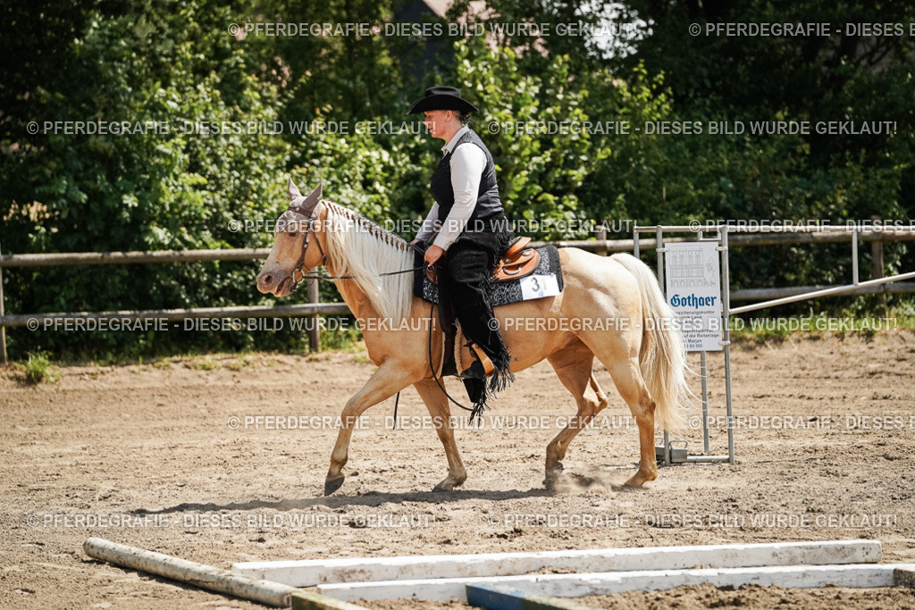 DSC07010 | Pferdegrafie