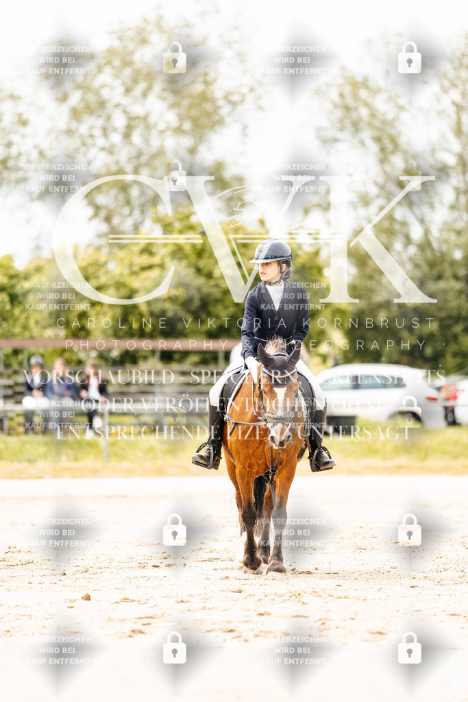 CK902751 | Turnierfotografie Pferdefotografie Trier Rheinland-Pfalz Pferdesport Reitsport Tierfotografie Sportfotografie Pferdevideo Pferdevideografie Equestrianvideography equestrianphotography  - Realisiert mit Pictrs.com