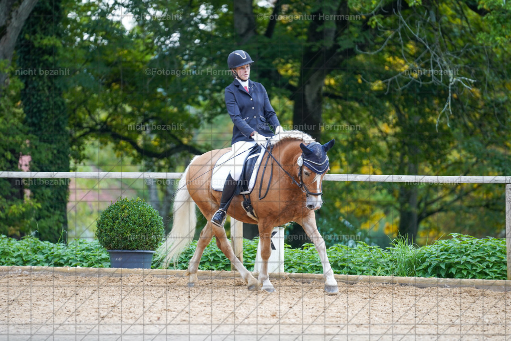 20221008-FAH00914 | Diessen am Ammersee, 2022, Dressur- und Springturnier, Reitsportbilder, Turnierfotografen Bayern, Pferdefotografen, Fotoagentur Herrmann, Turnierbilder