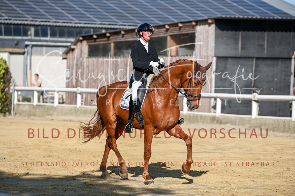 Schugtsche-Aluta25-51.Dressurpferdeprf.M-73 | Schugtsche Fotografie - Realisiert mit Pictrs.com