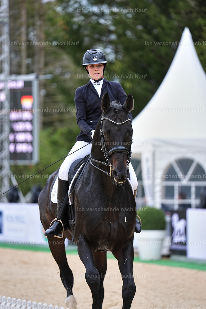 04_1-118-Dressur M__ -Marixx-2733 | working equitationturnier fotograf videograf stoibphotography marixx film working equitation deutschland reitsport turnierfotografie eventfotografie equestrian events