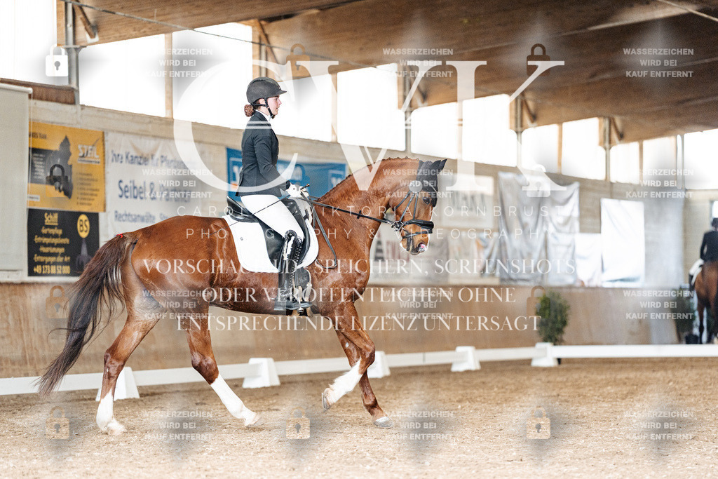 CK901733 | Turnierfotografie Pferdefotografie Trier Rheinland-Pfalz Pferdesport Reitsport Tierfotografie Sportfotografie Pferdevideo Pferdevideografie Equestrianvideography equestrianphotography  - Realisiert mit Pictrs.com