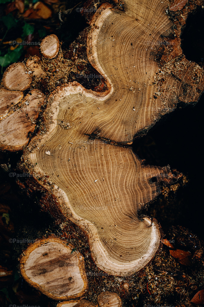 20221020_PaulHense_S0057_DSC00173 | paulhense - Realisiert mit Pictrs.com