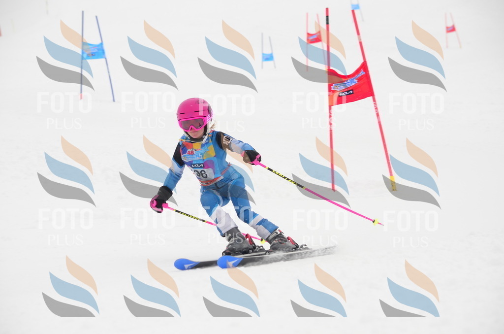 C1347 | holidayphoto