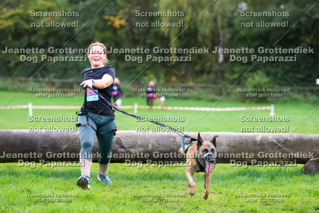 Dog Paparazzi -  SD1026-1047 | Dog Paparazzi Jeanette Grottendiek Fotografie & Videografie - Realisiert mit Pictrs.com