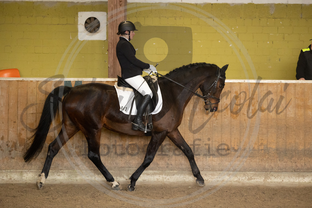 994A8655 | sabrinanicolaifotografie - Realisiert mit Pictrs.com