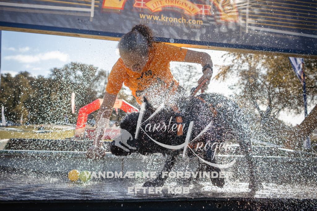 1046_ZZ90410 | kk-dogfotos