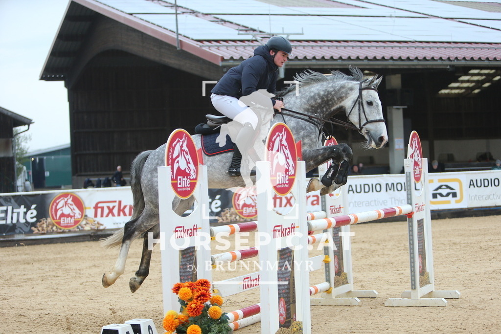 DL2Q6959 | Willkommen bei Brunnmayr - Design & Fotografie – Ihrem Spezialisten für Reitturniere und Pferdeveranstaltungen in Oberösterreich, Salzburg und Bayern! Seit über 17 Jahren sind wir leidenschaftlich dabei.