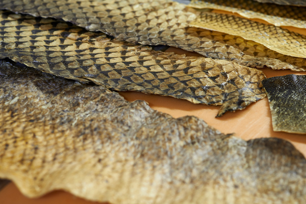 Yupitaze Fischtextil | Litschau, Austria - April 02, 2016: Yupitaze Fischtextil; verschiedene getrocknete Fischleder. - Realisiert mit Pictrs.com