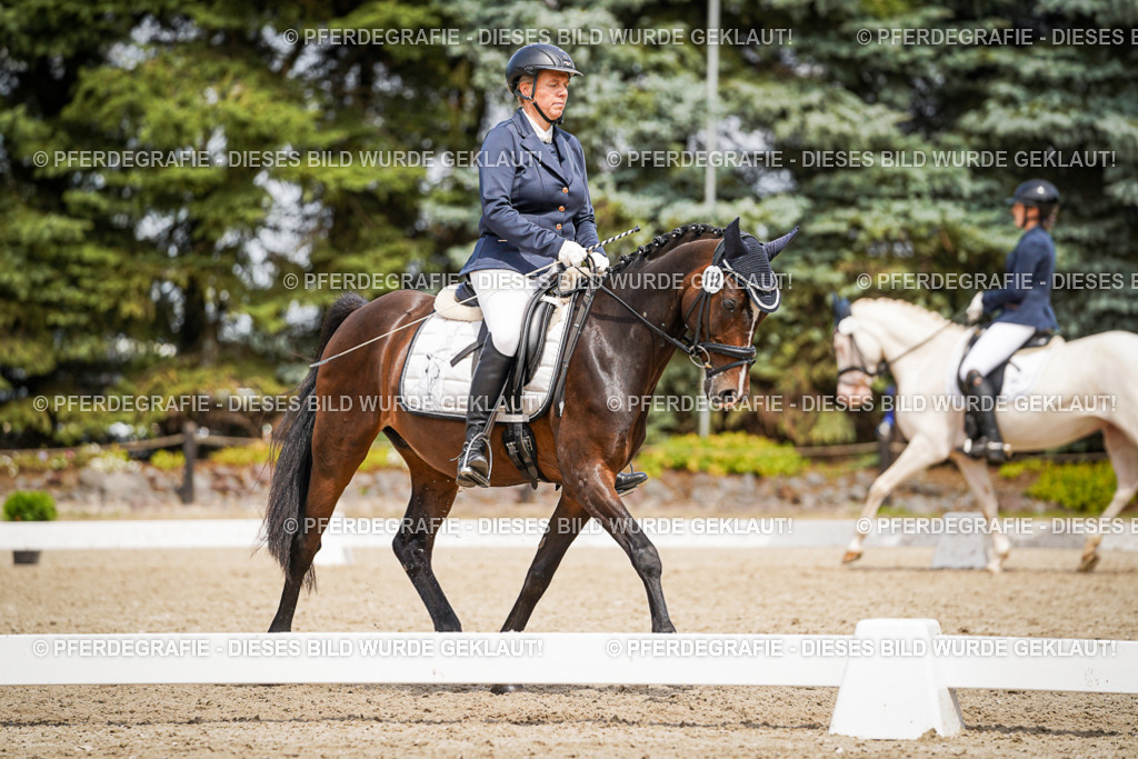 DSC04416 | Pferdegrafie