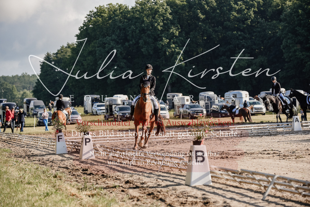 DSC_7740 | Pferde- und Turnierfotografie in Westsachsen. Pferdeportraits, Auftragszeichnungen und intuitive Kunst.