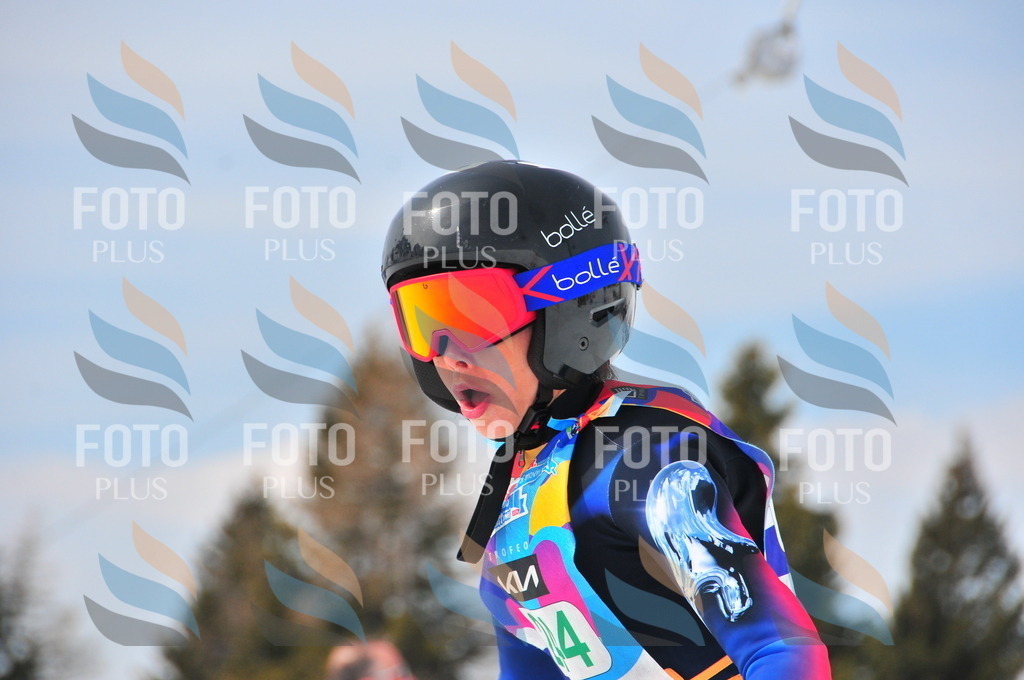 DSC_2269 | holidayphoto