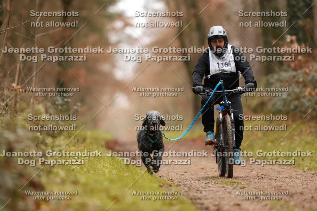 Dog Paparazzi - Speedhunter Mannheim  2025-383 | Dog Paparazzi Jeanette Grottendiek Fotografie & Videografie