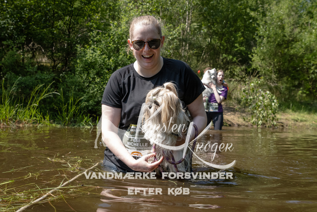 1427DKK990461 | kk-dogfotos