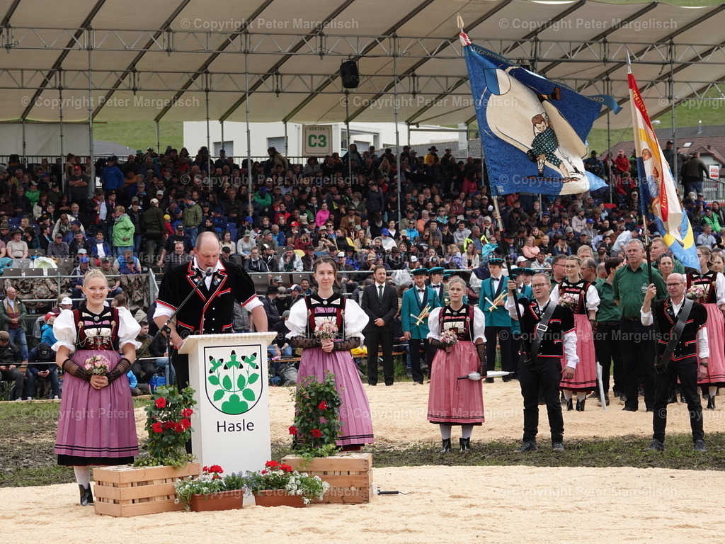 DSC07690 | Schwingen - Realisiert mit Pictrs.com