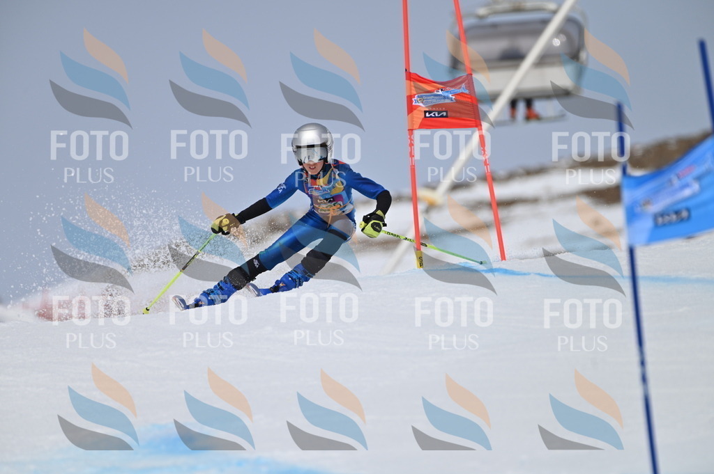 BGV_4420 | holidayphoto