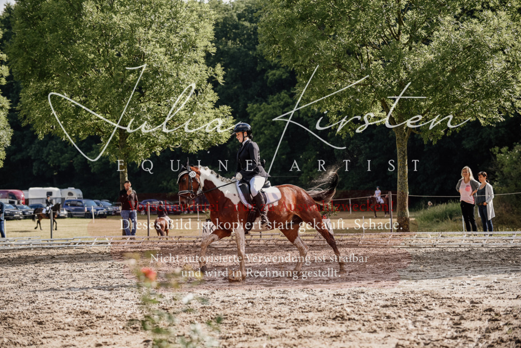 DSC_8780 | Pferde- und Turnierfotografie in Westsachsen. Pferdeportraits, Auftragszeichnungen und intuitive Kunst.