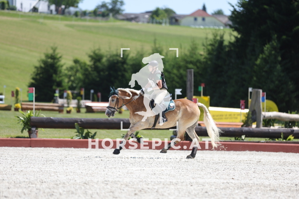 0P6A3780 | Willkommen bei Brunnmayr - Design & Fotografie – Ihrem Spezialisten für Reitturniere und Pferdeveranstaltungen in Oberösterreich, Salzburg und Bayern! Seit über 17 Jahren sind wir leidenschaftlich dabei.