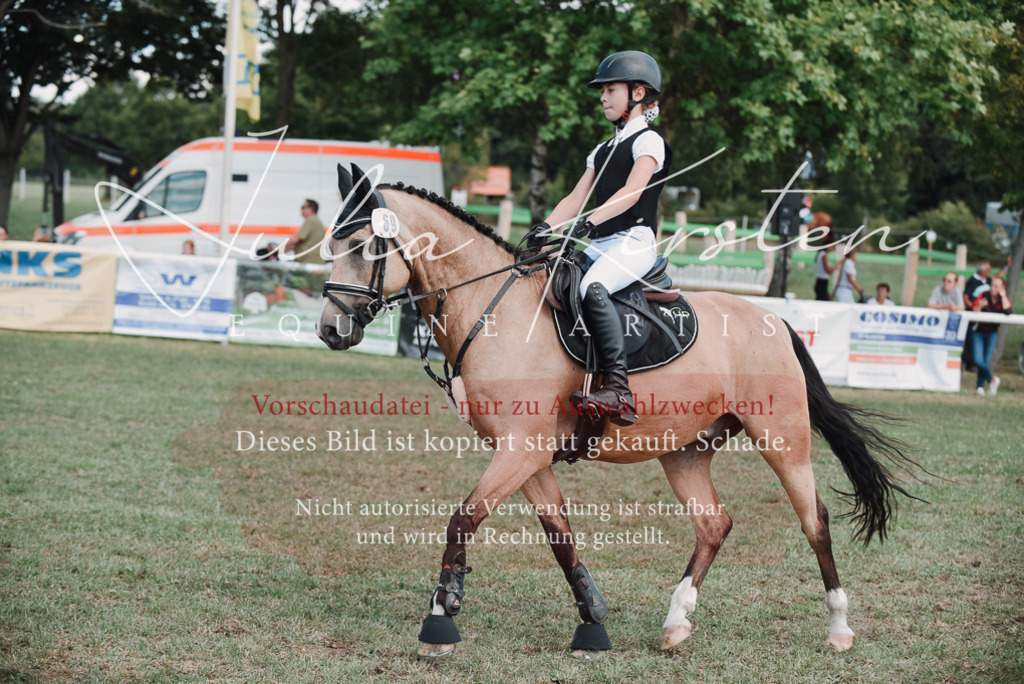 DSC_5826 | Pferde- und Turnierfotografie in Westsachsen. Pferdeportraits, Auftragszeichnungen und intuitive Kunst.