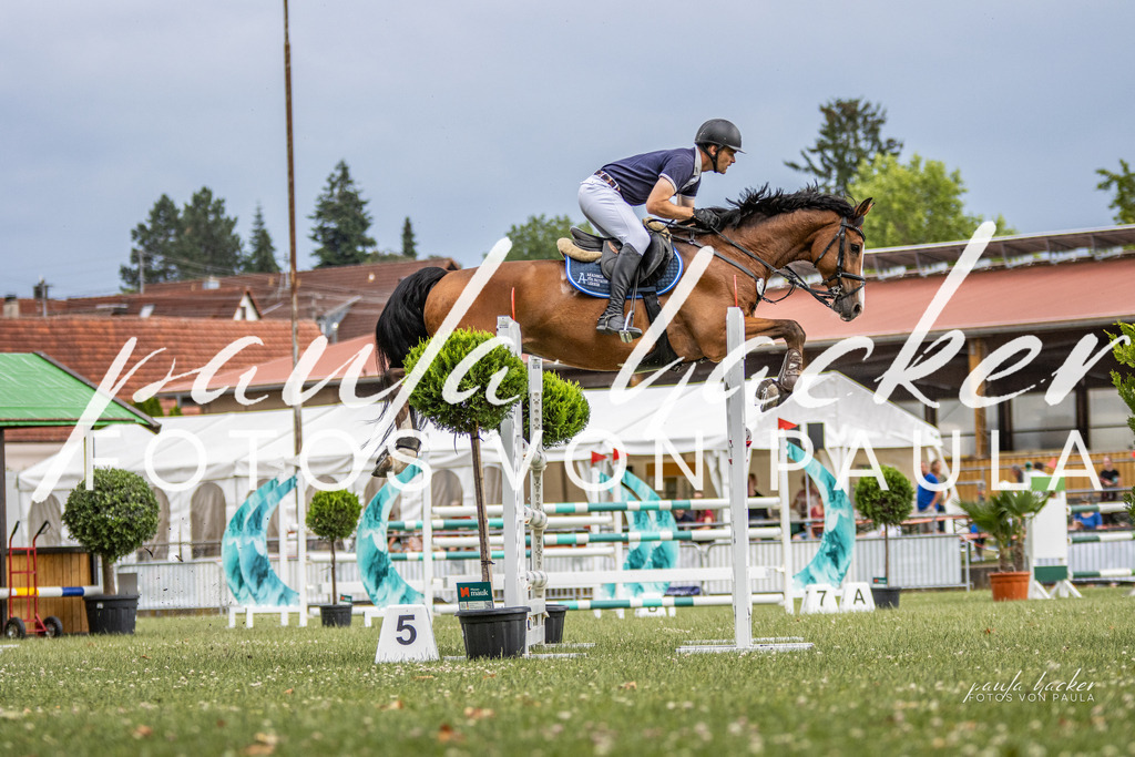 IMG_7321 | Erleben Sie dynamische Sport- und emotionale Tierfotografie in Süddeutschland mit Fotos von Paula. Spezialisiert auf Pferde- und Hundefotografie sowie Sportevents. Kontaktieren Sie mich für einzigartige und ausdrucksstarke Bilder Ihrer besonderen Momente.