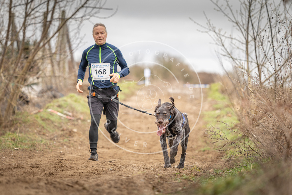 DV3A1907 | Hundefotografie, Tierfotograf, Pfotenfotografie, Fotoshooting Hund, Hunde Portrait, Hundesport, Hundeportraits, Heideshooting, Hunde, Sportfotograf, Hundefotograf, Turnierhundsport, THS,  - Realisiert mit Pictrs.com