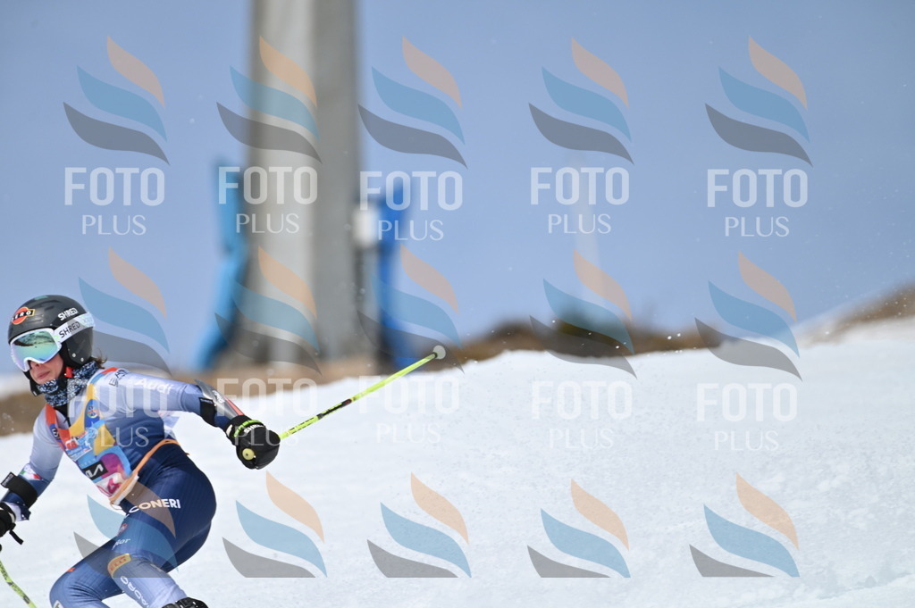 BGV_2833 | holidayphoto