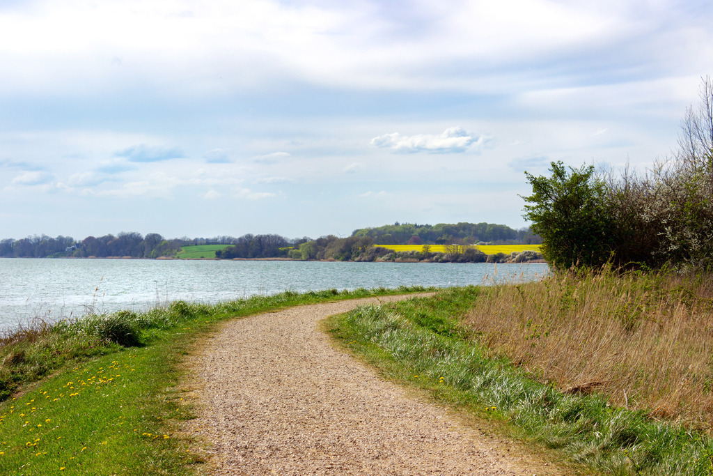 Wandbild: Frühling in Arnis an der Schlei | Dieses Wandbild im Querformat zeigt einen schönen Spazierweg in Arnis an der Schlei. In der Ferne ist ein Rapsfeld zu sehen. Der Himmel ist bewölkt.  - Realisiert mit Pictrs.com